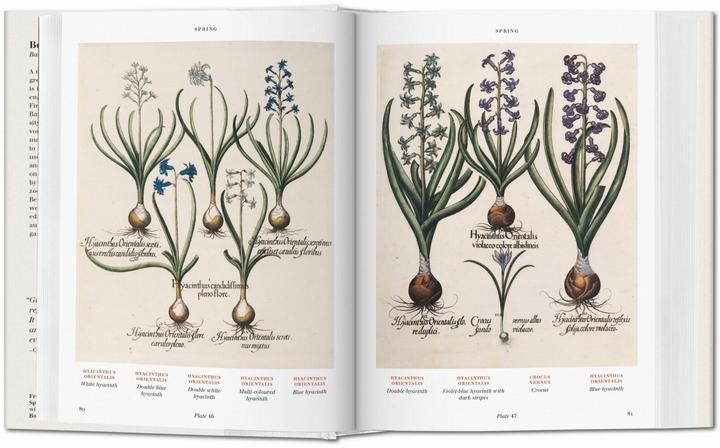 Produktbild Der Garten von Eichstätt. Hortus Eystettensis (Deutsch, Werner Dressendörfer, 2016)