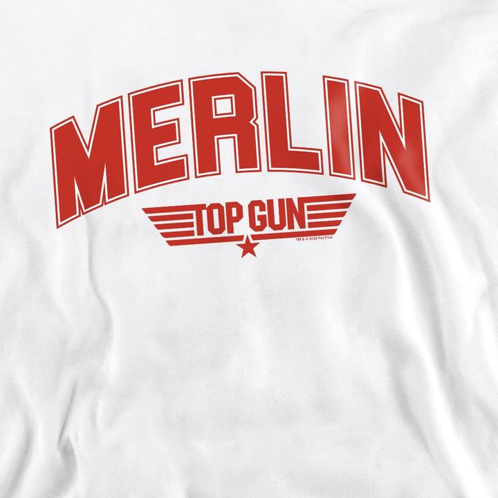 Actual product image Top Gun Unisex Adult Merlin Varsity Sweatshirt (S)