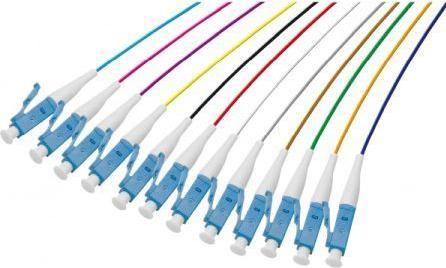 Actual product image Exertis Connect Fibre optic pigtails, coloured, 12 x connector, OS2 mono-mode, LC/UPC, 2.0 m12 fibre optic pigtails (2 m)