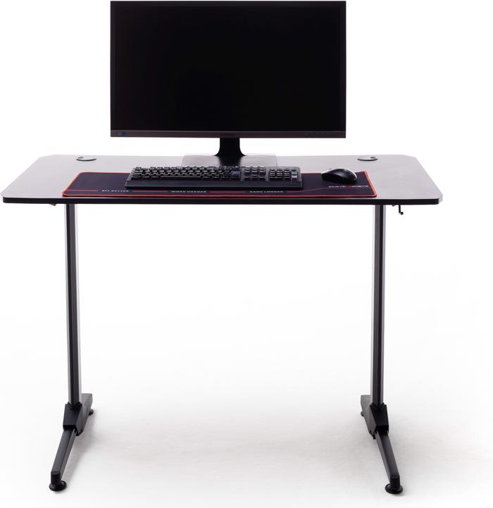 Immagine prodotto DXRacer BASIC2