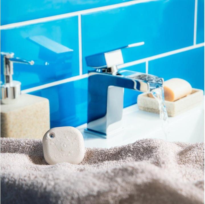 Image du produit Shelly Blu Button Tough 1