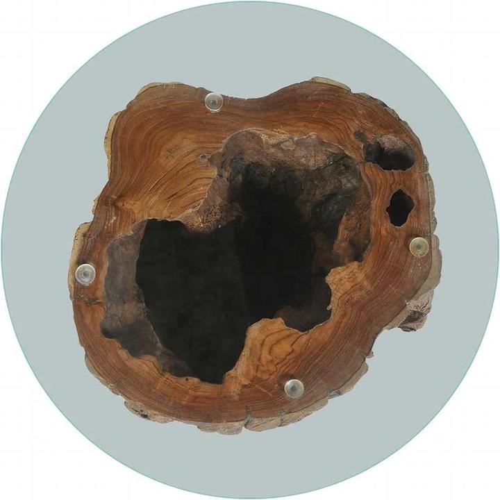 Immagine prodotto vidaXL Couchtisch (50 x 50 x 40 cm)