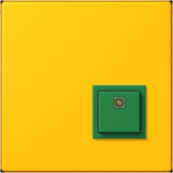 Actual product image JUNG Switch-off button