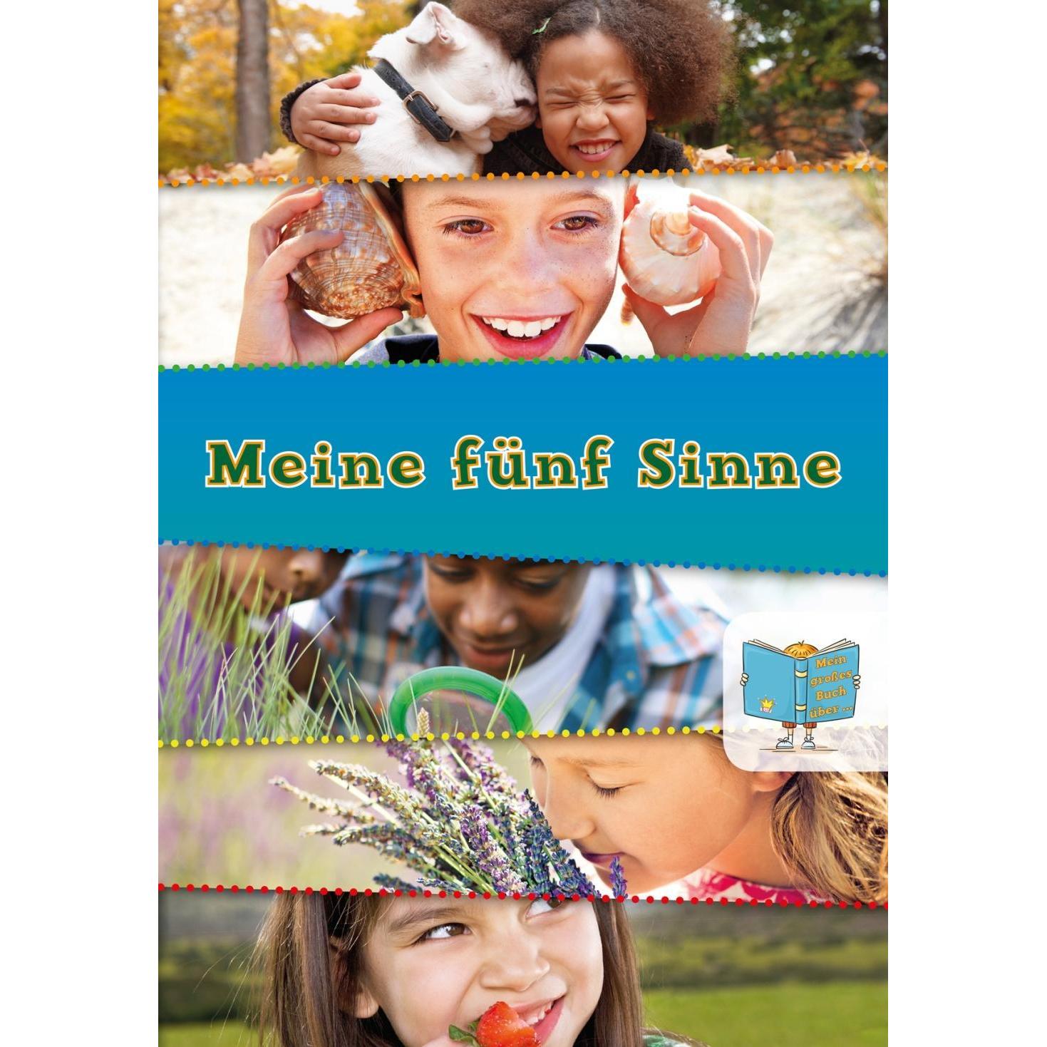 Thumbnail - Mein grosses Buch über Meine fünf Sinne, Kinderbücher von Tracey Steffora