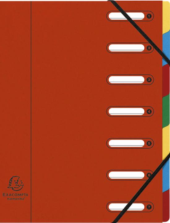 Actual product image Exacompta HARMONIKA - A4 file folders (A4, 1x)