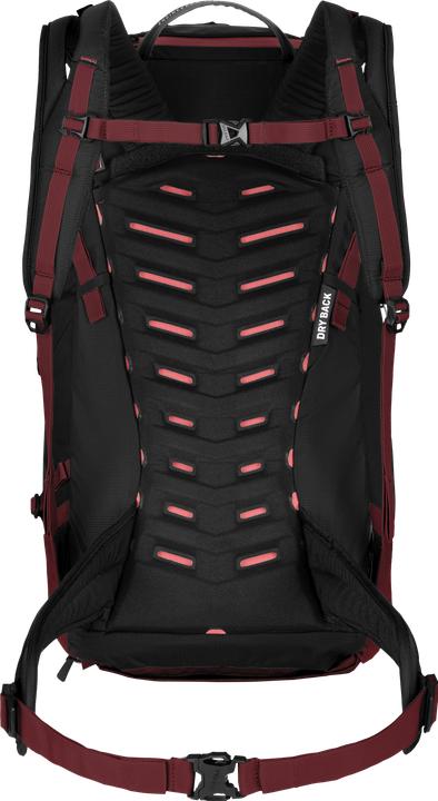 Actual product image Salewa Puez +L (32 l)