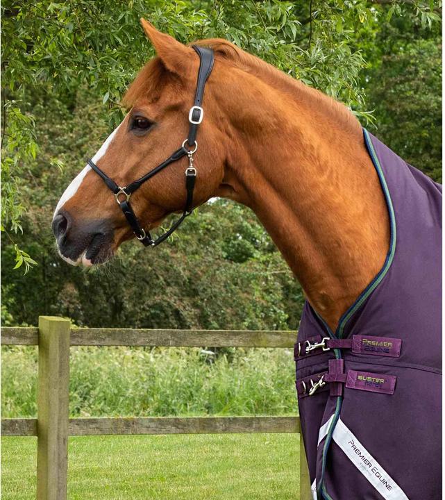 Produktbild Premier Equine Buster Hardy 100 g (152 cm)