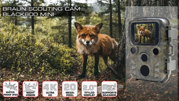 Image du produit Braun Photo Scouting Cam Black800 mini