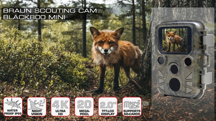 Produktbild Braun Photo Scouting Cam Black800 mini