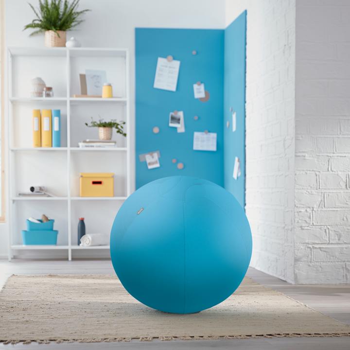 Actual product image Leitz Ergo Cosy Active sitting ball (65 cm)
