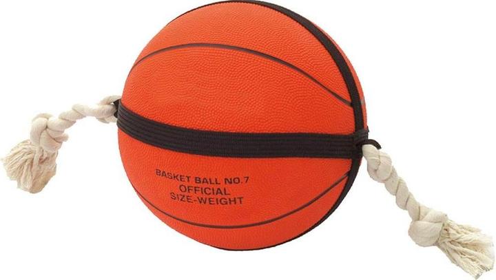 Actual product image Karlie Actionball (Ball toy dog)