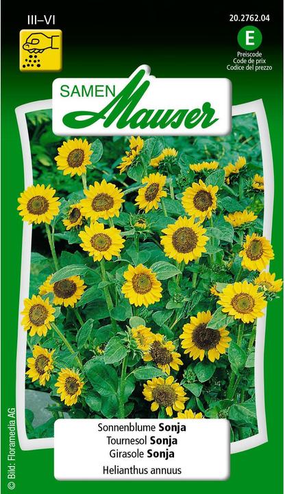 Image du produit Samen Mauser Tournesol Sonja (Graines de plantes)