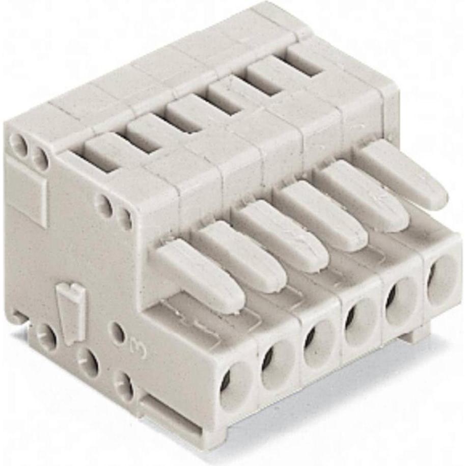 Wago Connettore femmina, Cavo + Spina elettrica, Grigio