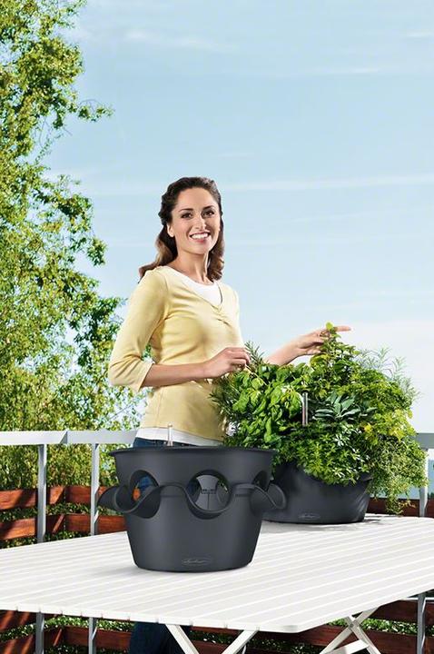 Immagine prodotto Lechuza Cascada (44 cm)