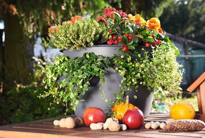 Immagine prodotto Lechuza Cascada (44 cm)