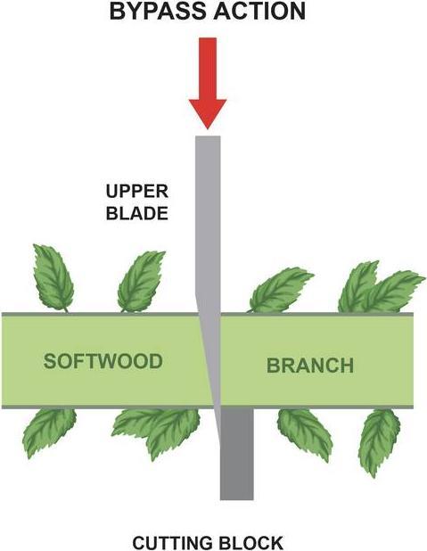 Produktbild No Name WorkPro Bypass Gartenschere 213 mm
