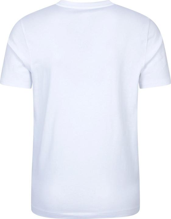 Actual product image Mountain Warehouse Mens Lake District Mountain T-Shirt (L)