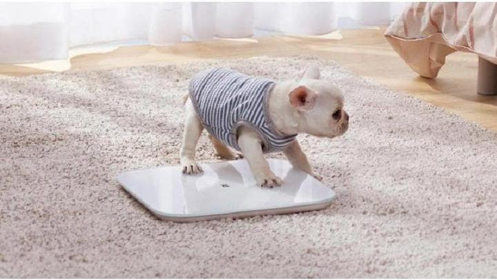 Actual product image Xiaomi Mi Smart Scale 2 (150 kg)