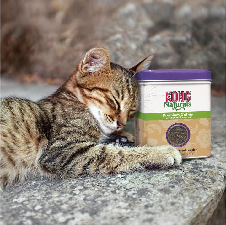Produktbild KONG Premium Catnip Refill (28.3g) (Ballspielzeug Katze)
