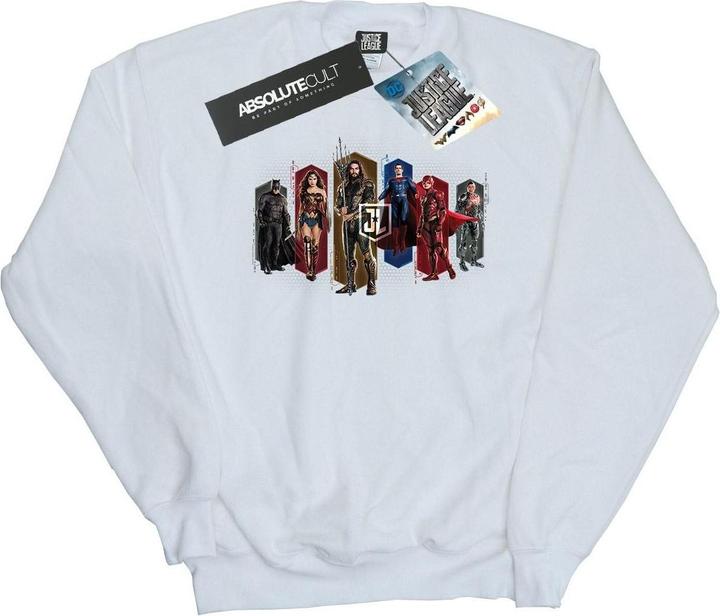 Actual product image Mens Justice League Movie Team Hexagons Sweatshirt (M)