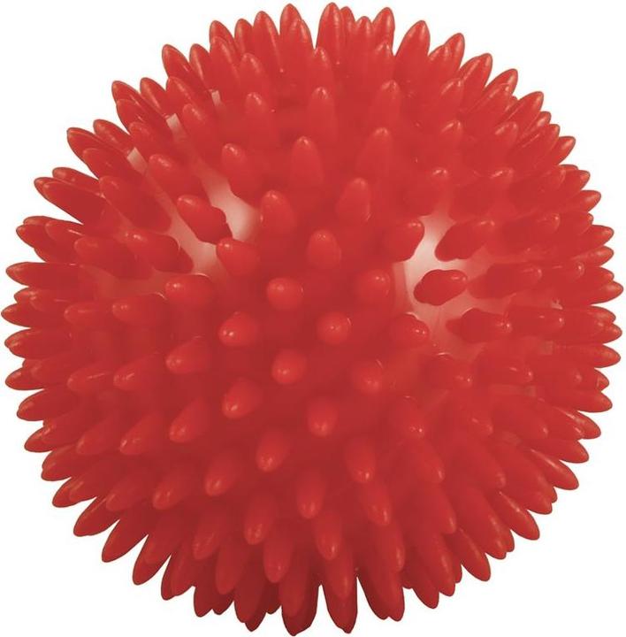 Actual product image Sundo Hedgehog ball red