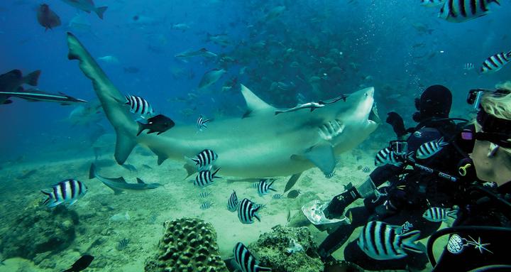 Image du produit GoPro Tauchfilter