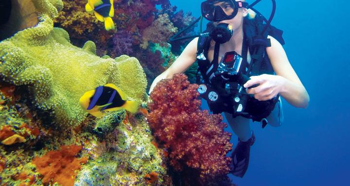 Image du produit GoPro Red Dive Filter für Standard- und Blackout-Gehäuse