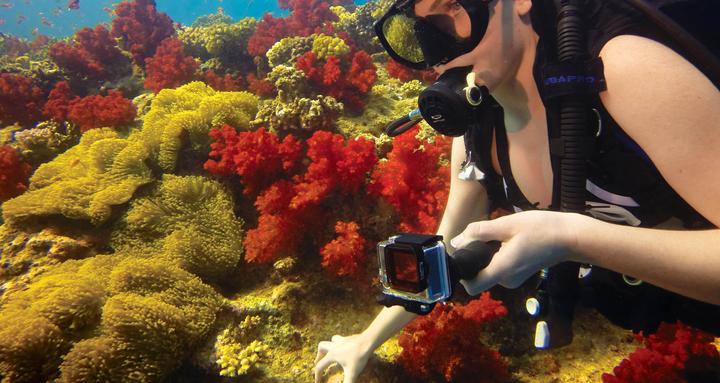 Image du produit GoPro Red Dive Filter für Standard- und Blackout-Gehäuse
