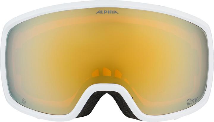 Actual product image Alpina Sports Bivio Q-Lite
