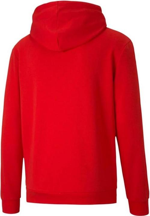 Produktbild Puma TeamGoal 23 Kapuzenpullover (M)