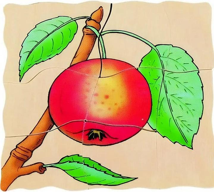 Immagine prodotto Beleduc Mela (30 pezzi)