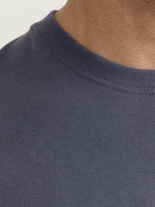 Actual product image Jack & Jones Rddfarley Crew Neck Tee S/S Sn (XXL)