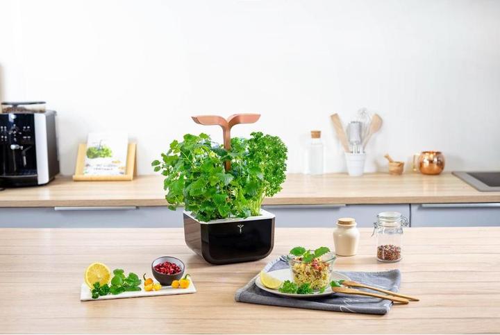 Produktbild Véritable Exksy Smart (18.20 cm)