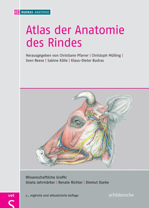 Produktbild Atlas der Anatomie des Rindes (Deutsch, 2017)
