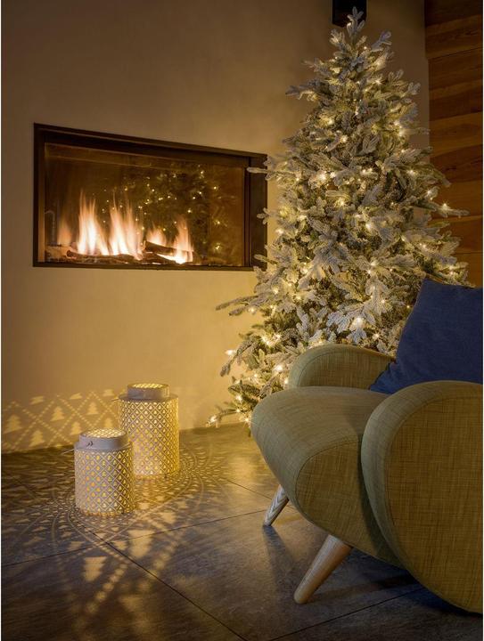 Image du produit STT Aura tree, 22