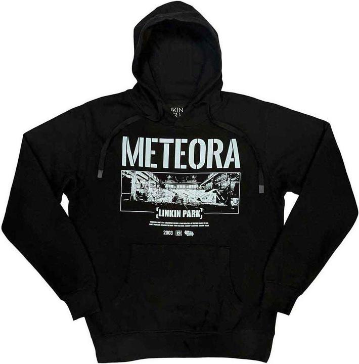 Actual product image Linkin Park Meteora Wall Art (Hoodie) (XL)
