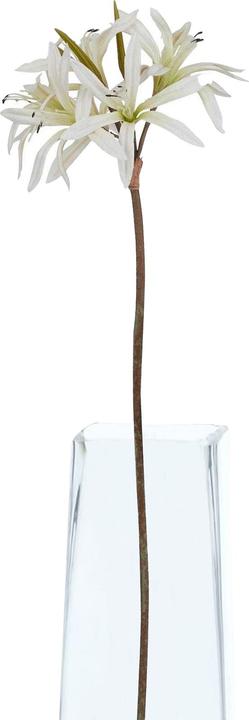 Immagine prodotto Hill Interiors Kunstblume (61 cm)