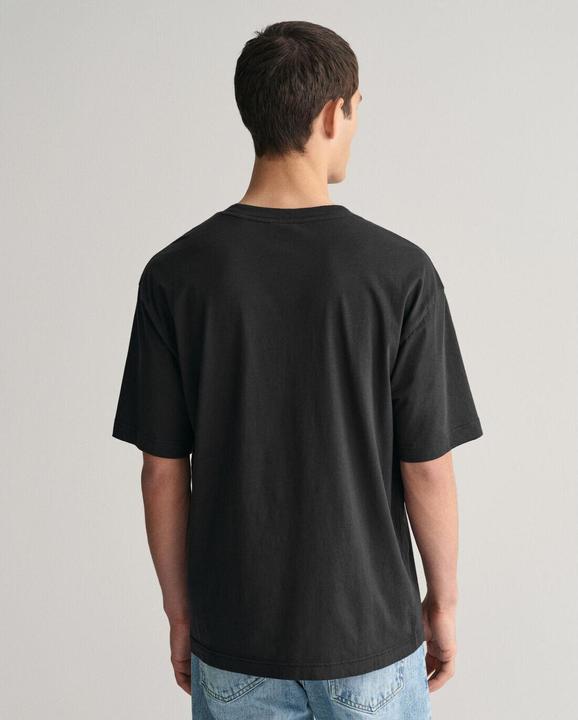 Actual product image GANT t-shirt washed graphic (M)