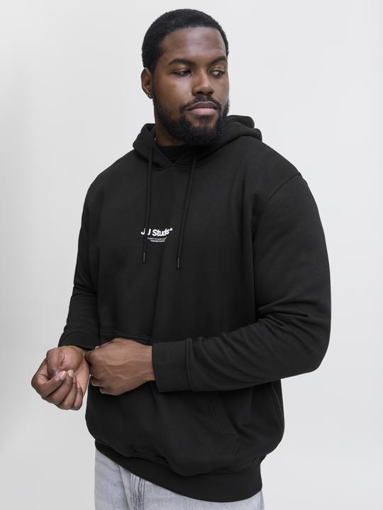 Produktbild Jack & Jones Jjesoho Sweat Hood Noos Pls