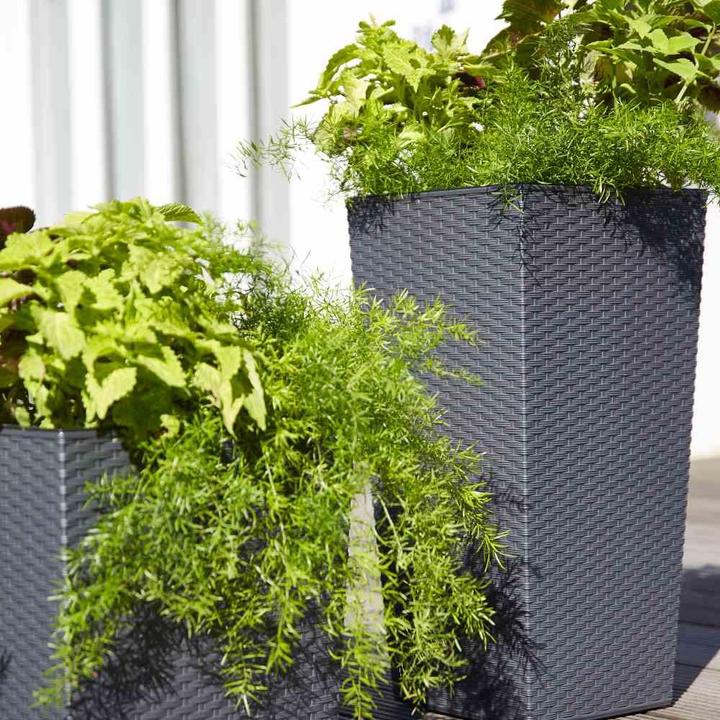 Actual product image Siena Garden Modern (25 cm)