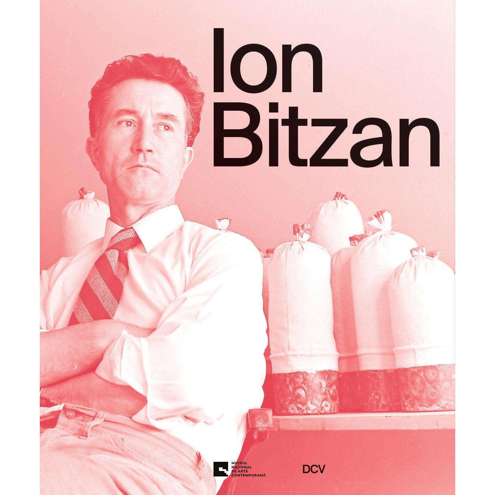 Thumbnail - Albritton:Ion Bitzan, Sachbücher von Ca lin Dan, Ca lin Gheorghe, Anca Arghir, Magda Predescu, Ann Albritton