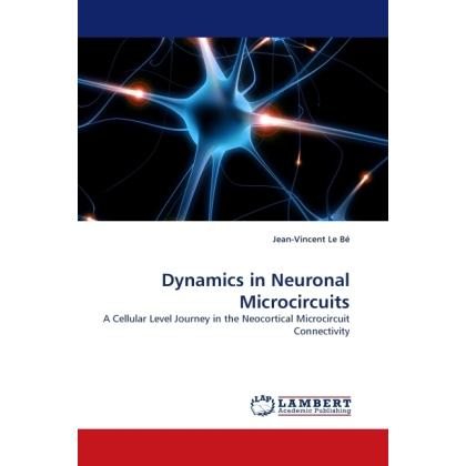 Dynamics in Neuronal Microcircuits, Fachbücher
