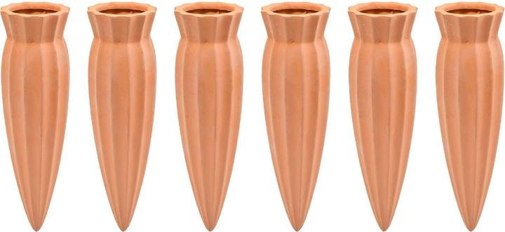 Image du produit Ideoon 12er-Set XL-Tonkegel Bewässerungszapfen für Flaschen (Cône d'argile)