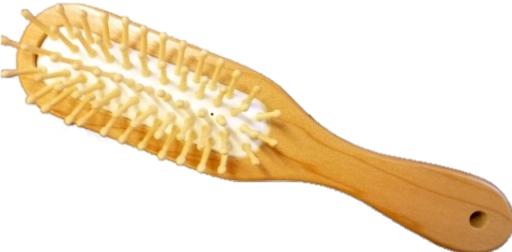 Herba Brosse en bois