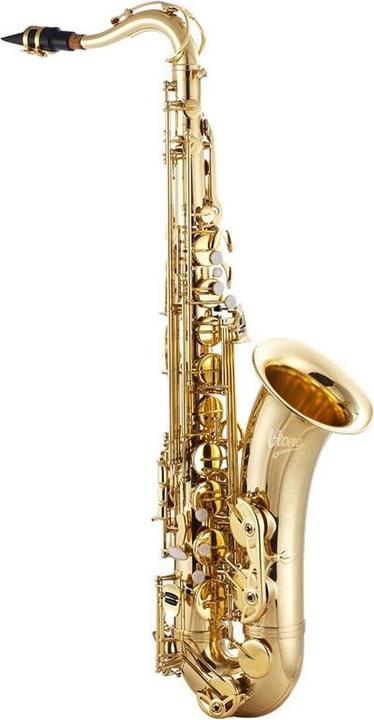 Actual product image No Name V-TONE TS 100 tenor saxophone with case set (Sax, Curved)
