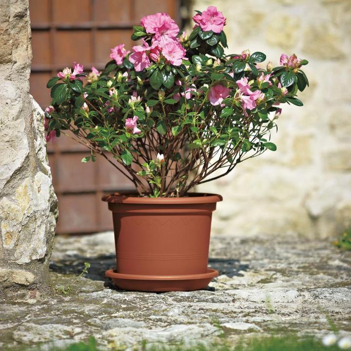 Produktbild Euro3plast Pflanzkübel (30 cm)