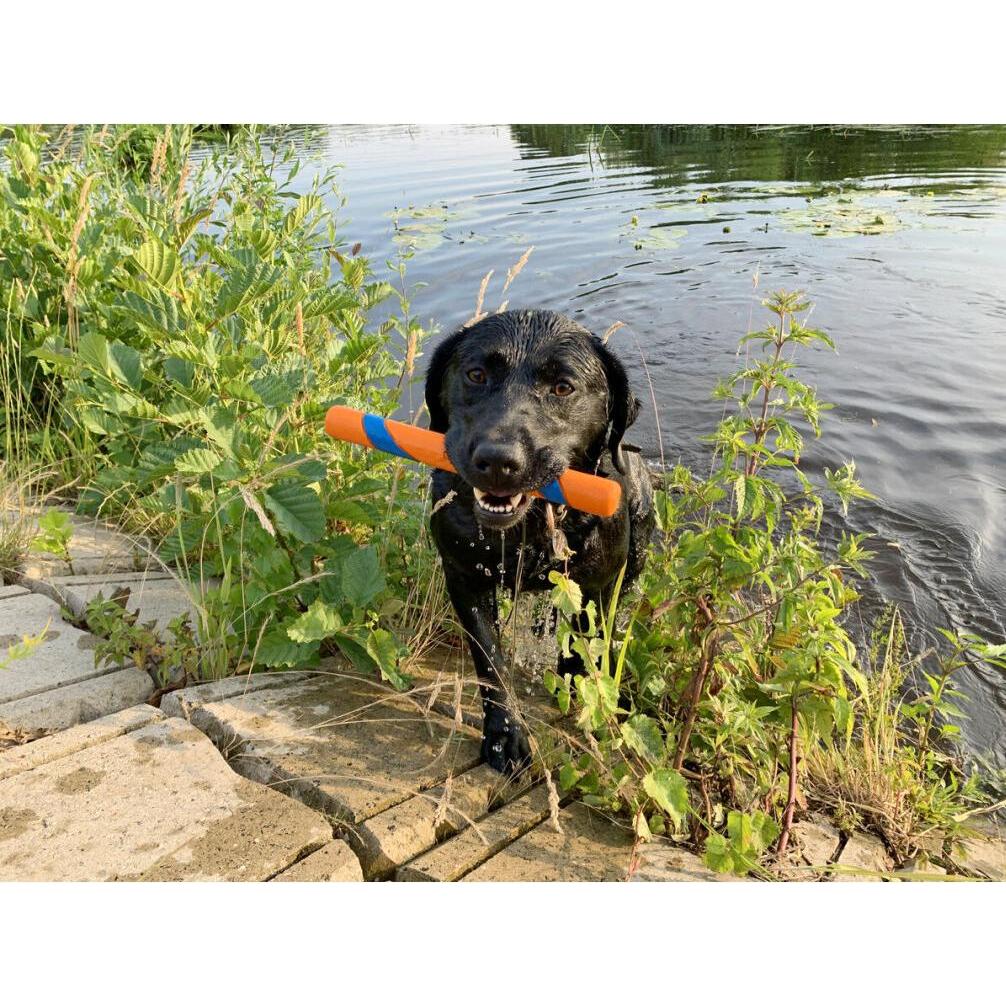 CHUCKIT! - Ultra Fetch Stick - Bâton de récupération - Bâton à poursuivre - Bâton pour chien