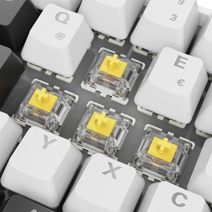 Actual product image Sharkoon SGK50 S4 Gen2 wh Gateron yellow DE (DE, Cable)