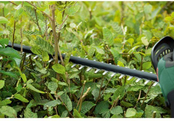Actual product image Bosch Home & Garden UniversalHedgeCut 18V-50 (Rechargeable battery operated)