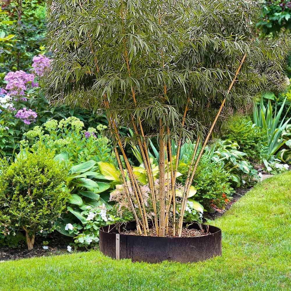 Thumbnail - Siena Garden, Pflanzen Winterschutz + Gartenvlies, Unkrautschutz